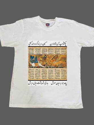 Goshtasp and the Dragon Battle T-Shirt